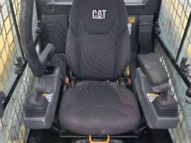 2025, Cat, 270