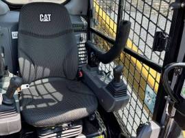 2021, Cat, 262D3