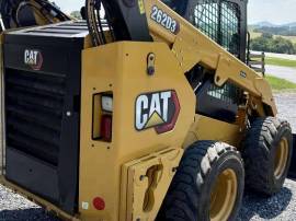 2021, Cat, 262D3