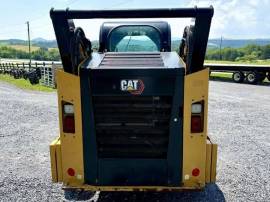 2021, Cat, 262D3