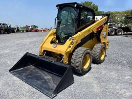 2021, Cat, 262D3