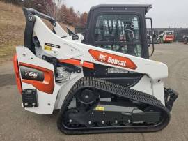 2026, Bobcat, T66