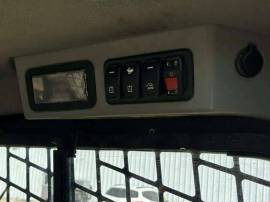 2021, Cat, 299D3