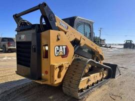 2021, Cat, 299D3