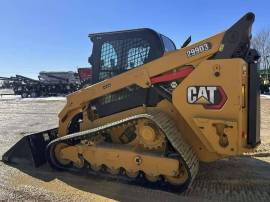 2021, Cat, 299D3