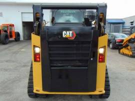 2019, Cat, 259D3