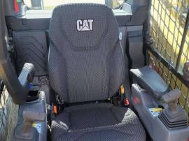2025, Cat, 265