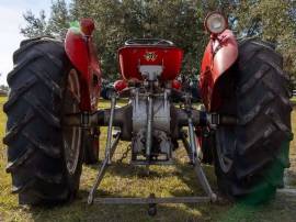 1957, Massey Ferguson, TO 35 Deluxe