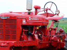 1950, Farmall, M