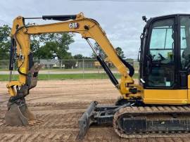 2024, Cat, 305 CR