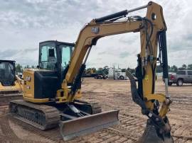 2024, Cat, 305 CR