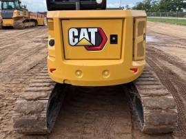 2024, Cat, 305 CR