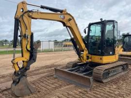 2024, Cat, 305 CR