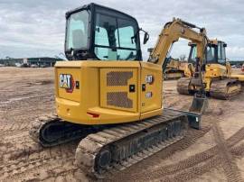 2024, Cat, 305 CR