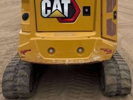 2022, Cat, 304