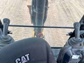 2021, Cat, 416
