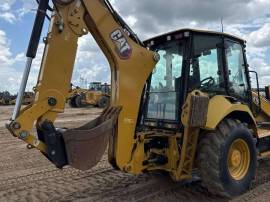 2021, Cat, 416