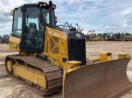 2023, Cat, D3