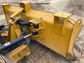 2023, Cat, D3
