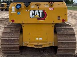 2023, Cat, D3