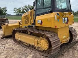 2023, Cat, D3