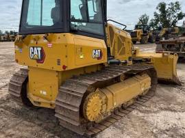 2023, Cat, D3
