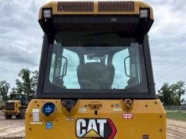 2023, Cat, D3
