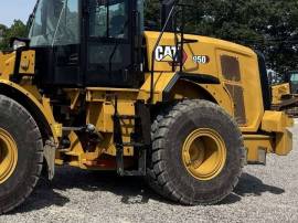 2024, Cat, 950