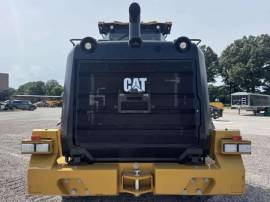 2024, Cat, 950