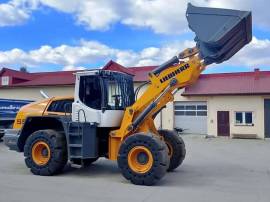 2015, Liebherr, L550