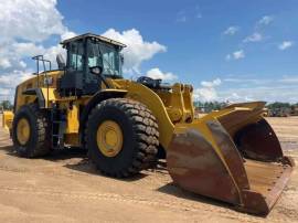 2022, Cat, 980
