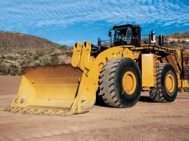 2026, Cat, 995