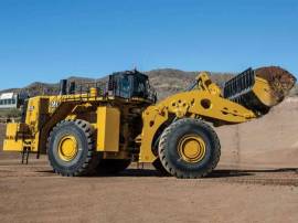 2026, Cat, 995
