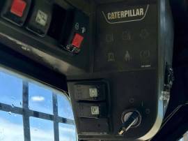 2005, Cat, 257B