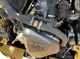 2005, Cat, 257B