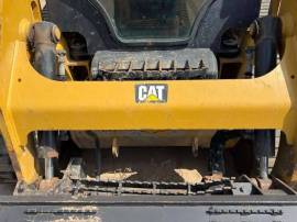 2019, Cat, 239D
