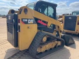 2019, Cat, 239D