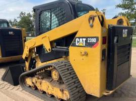 2019, Cat, 239D