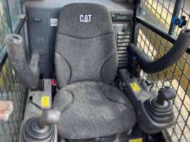2019, Cat, 239D
