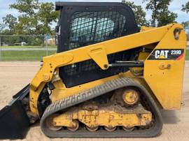 2019, Cat, 239D
