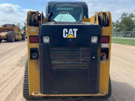 2019, Cat, 239D