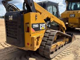 2019, Cat, 299D2