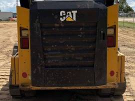2019, Cat, 299D2