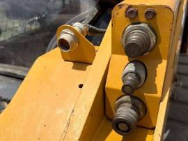 2019, Cat, 299D2