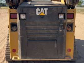 2019, Cat, 249D