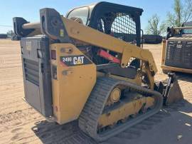 2019, Cat, 249D