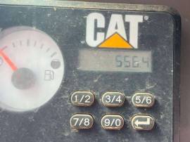2019, Cat, 249D