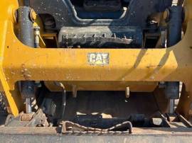 2019, Cat, 249D