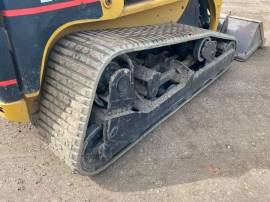 2005, Cat, 277B