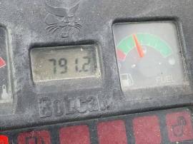 2004, Bobcat, 331